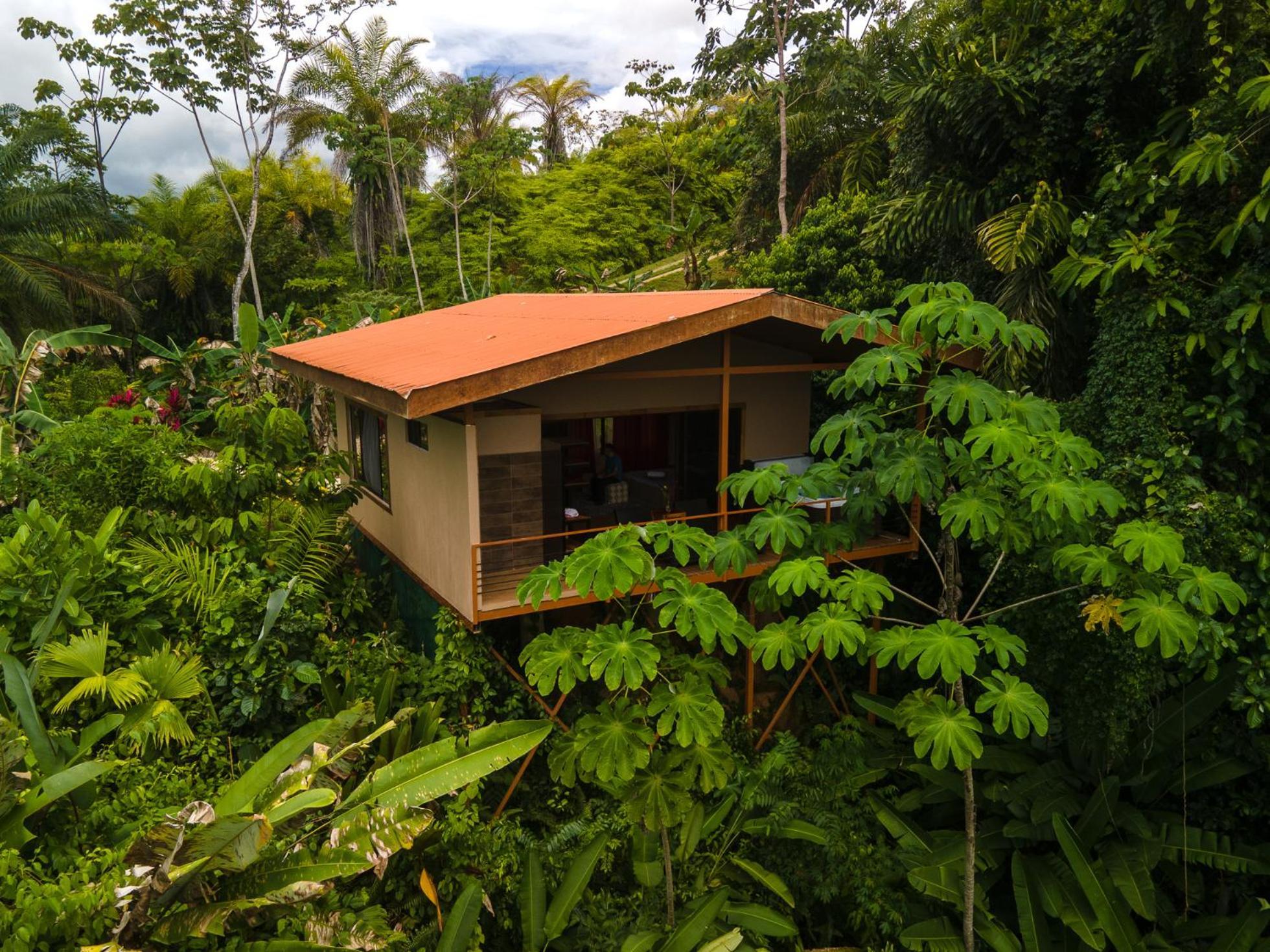Corcovado Private Villas - Corcovado Private Reserve Puerto Jiménez Exterior foto
