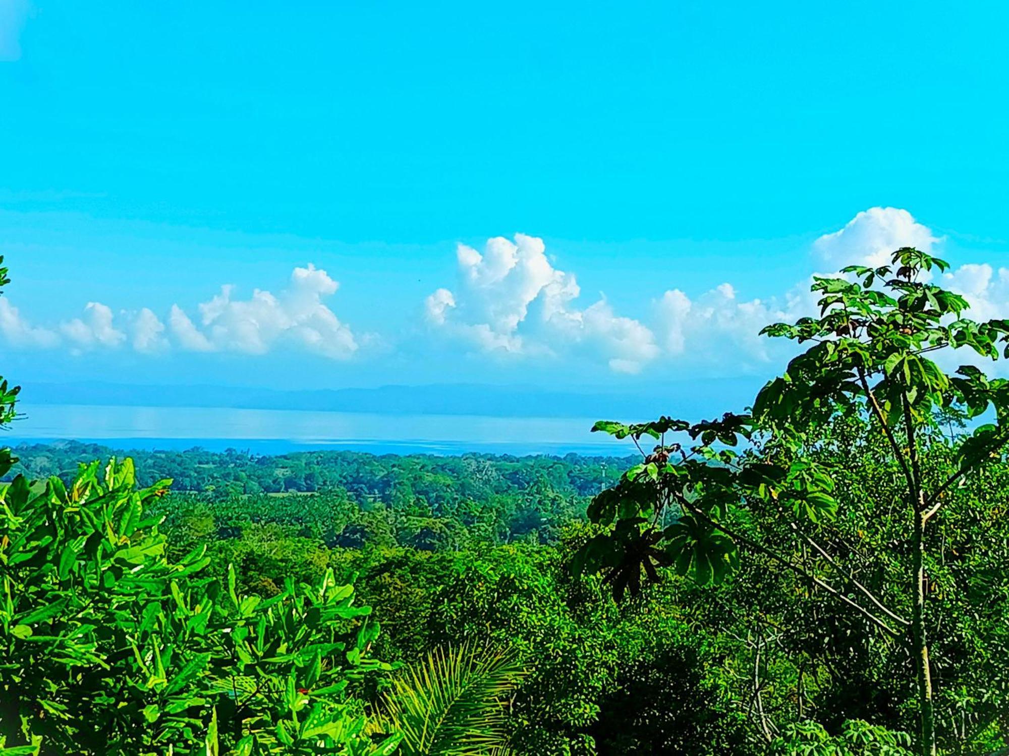 Corcovado Private Villas - Corcovado Private Reserve Puerto Jiménez Exterior foto